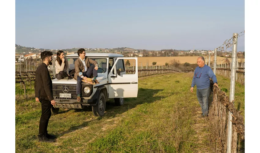 Safari Grand Tour und Verkostung