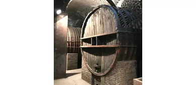 Wine Museum MUVIS