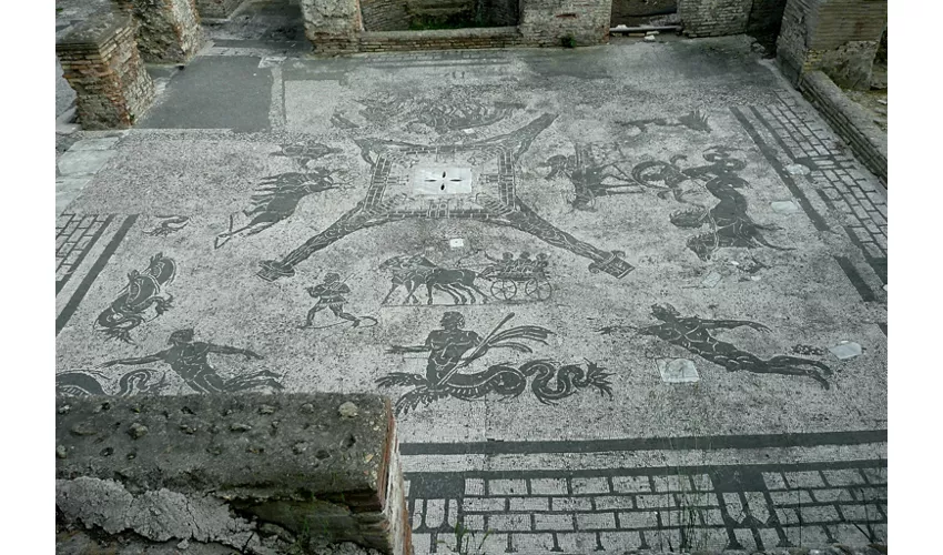 Ostia Antica: Tour semi-privato di mezza giornata da Roma