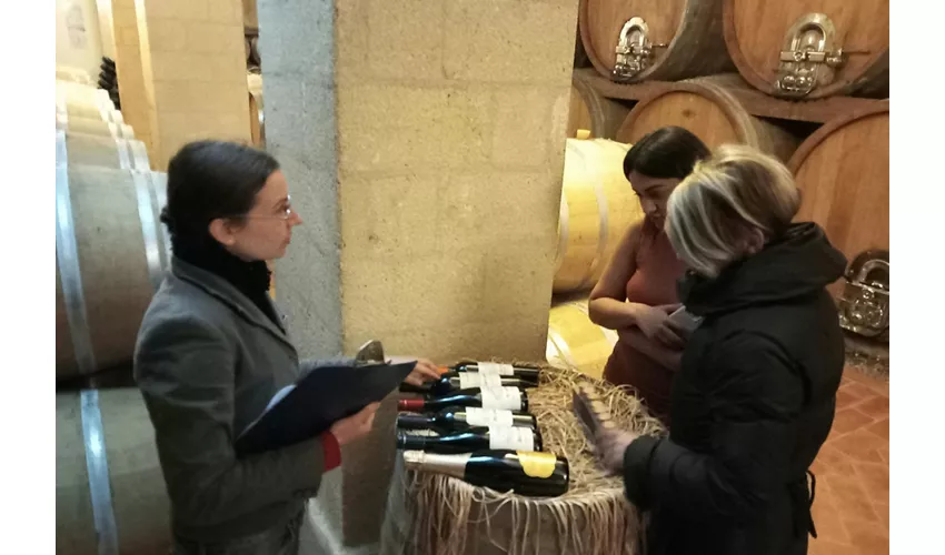 Erice: Gita di un giorno da Palermo + Pranzo siciliano + Via del sale