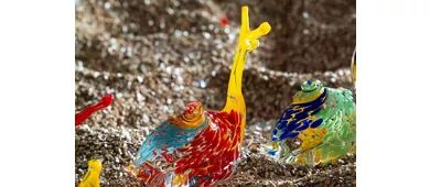 Venice: Murano and Burano Boat Tour