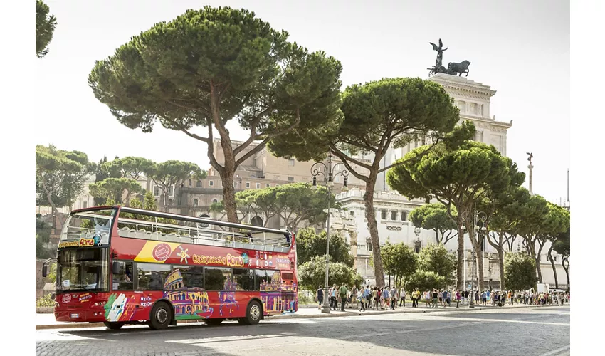 Roma: Autobús Hop-on Hop-off + Traslados desde Civitavecchia