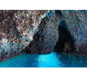 Isola Bella: Guided Boat Tour + Pastries & Drinks