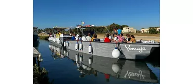 Isla de Mozia: Traslado en barco ida y vuelta desde Marsala + Entrada