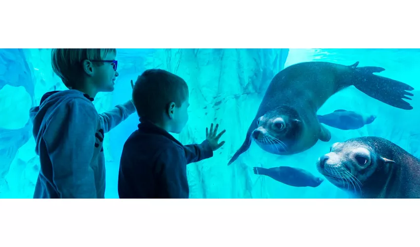 Gardaland SEA LIFE Aquarium: Entrada