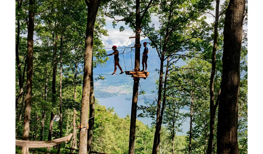 Acceso de un día al Parque de Aventuras del Lago Como