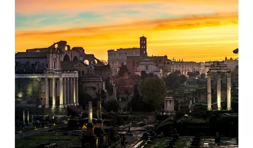 Foro Romano e Palatino: Biglietto d'ingresso + spettacolo serale di luci