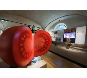 Museos gastronómicos: Museo del Tomate