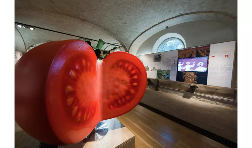 Food Museums: Tomato Museum