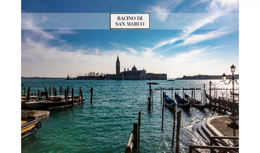 Venice: St. Mark's Square Historical City Walking Tour