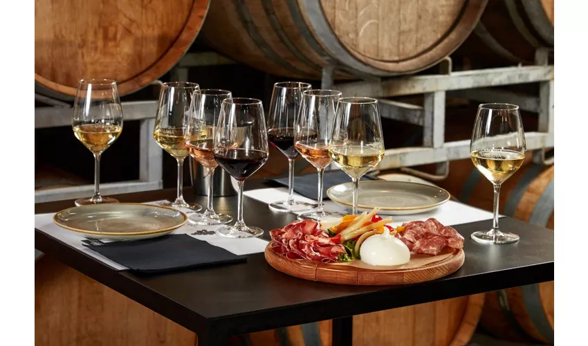 Cantina Urbana: Guided Tour and Wine Tasting