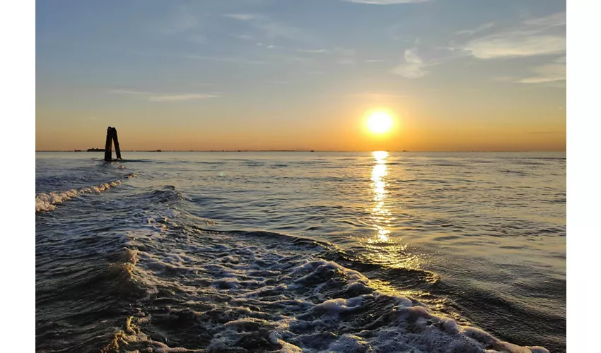 Chioggia: Guided Venetian Lagoon Sunset Boat Tour