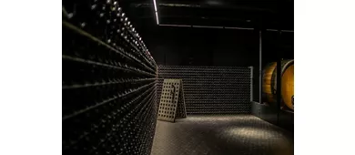 Bodega Conte Vistarino: Visita guiada + Degustación