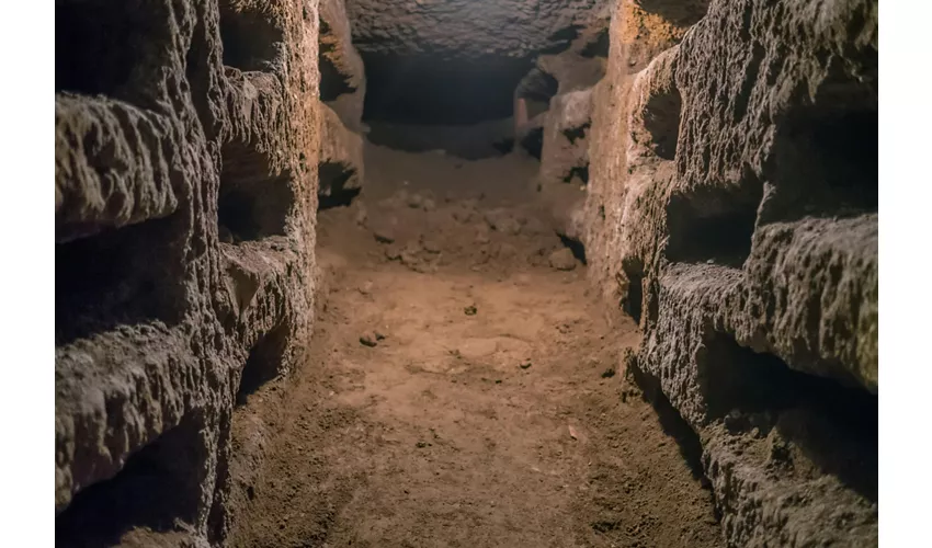 Catacombe di Roma: Biglietto d'ingresso, visita guidata + trasferimento