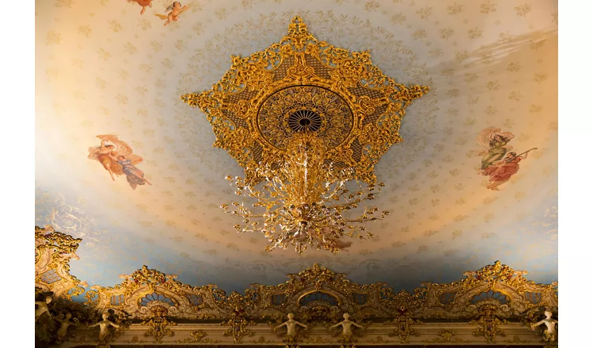 Teatro La Fenice: Salta la Coda + Audioguida