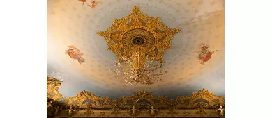Teatro La Fenice: Salta la Coda + Audioguida