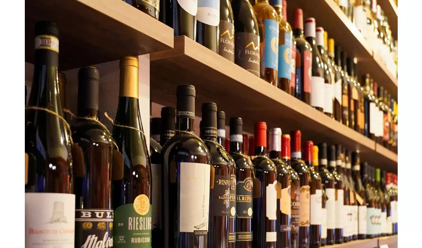 Bolonia: Cata guiada de vinos tintos italianos