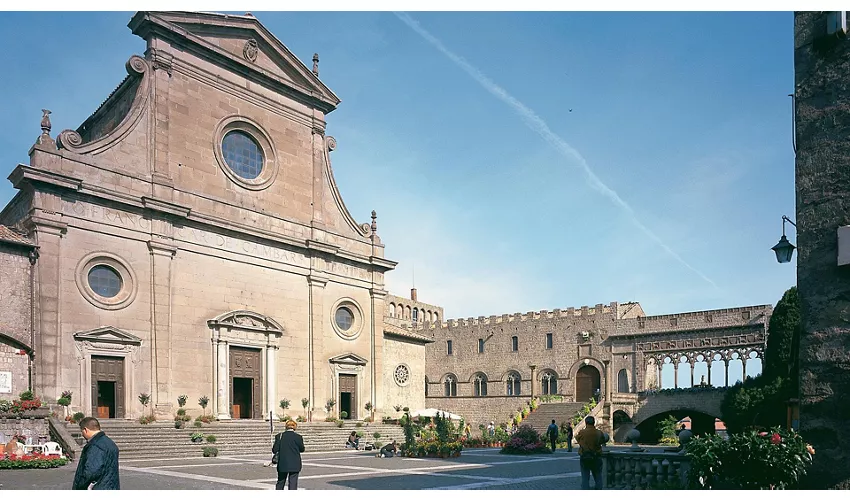 Saltar la línea del Palacio de los Papas (Polo Monumental Colle del Duomo)