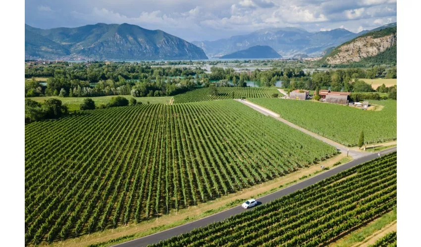 Lago d'Iseo e Franciacorta: tour guidato da Milano + degustazione di vini