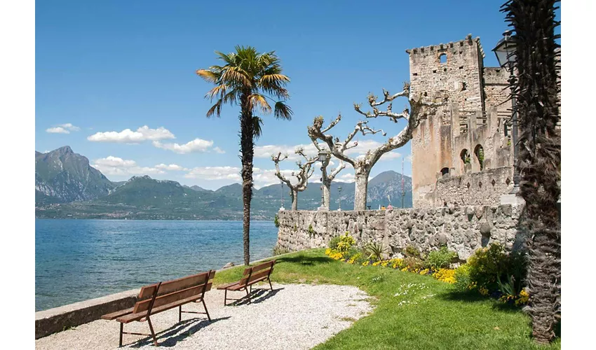 Torri Del Benaco: Garda Link Bus + Train from Venice