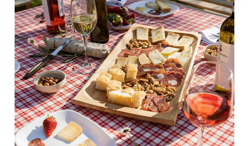 Weingut Mazzarosa: Ländliches Picknick im Olivenhain