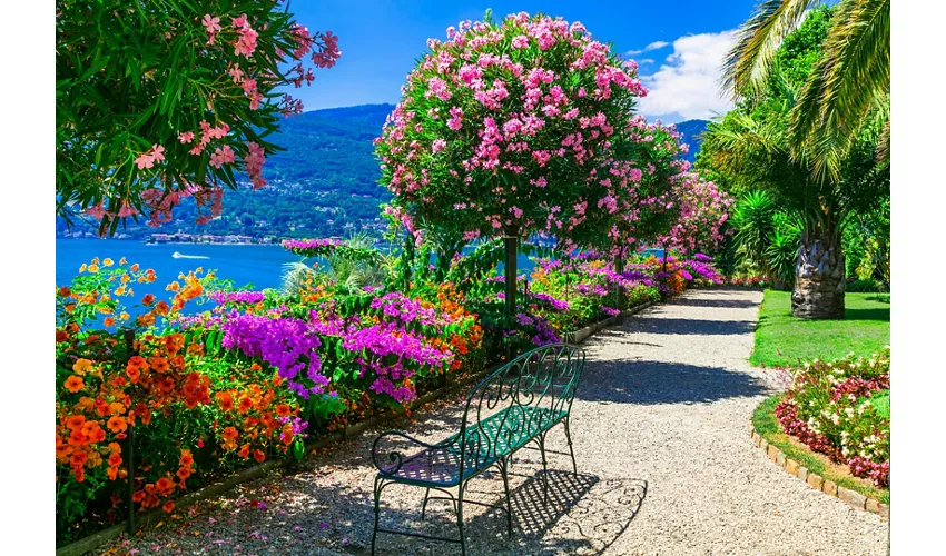 Lago Maggiore: Gita in Giornata da Milano