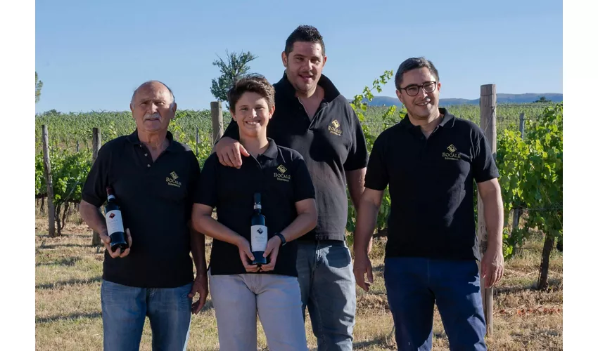 Visita guidata della cantina e degustazione privata a Montefalco