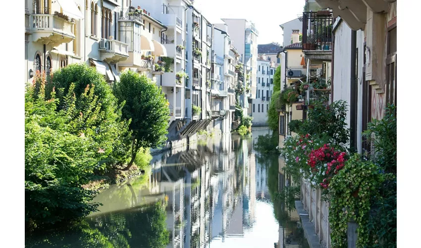 Padova: Visita guidata + Trasferimenti in treno da Venezia + Ingresso all'Orto Botanico