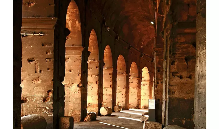 Colosseo, Foro Romano e Palatino + Tour guidato