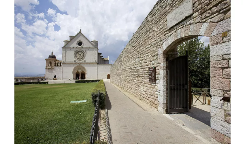 Bosco di San Francesco: Biglietto d'ingresso