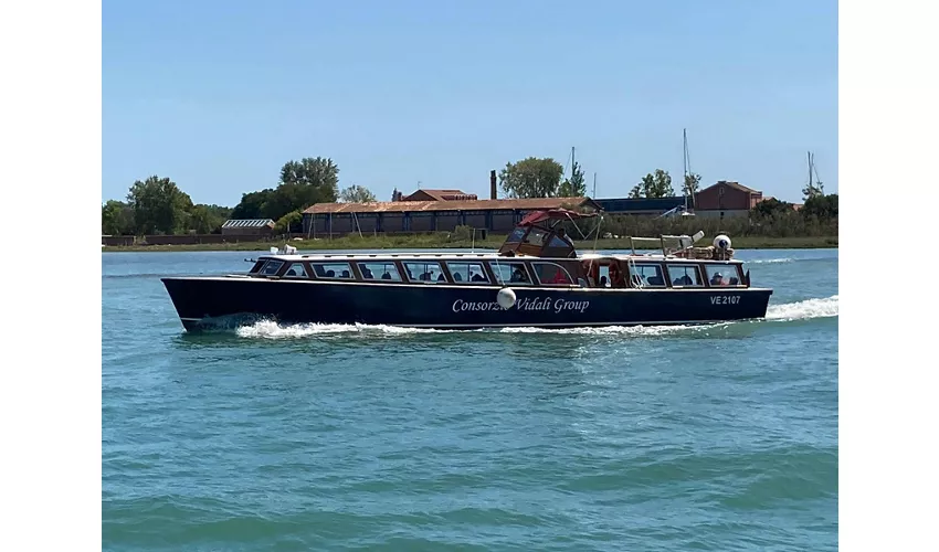 Murano and Burano: Morning Boat Tour