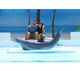 Zoomarine Roma: Reserved Entrance with Dolphins Experience