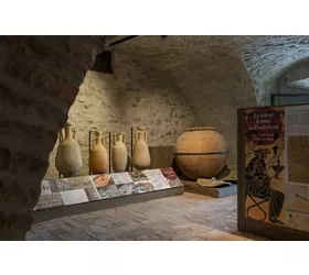 Museos gastronómicos: Museo del Vino