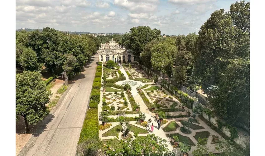 Galleria Borghese: Tour guidato