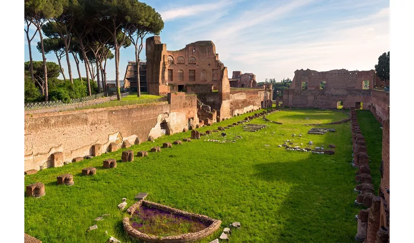 Colosseum, Roman Forum & Palatine Hill + Digital Audio Guide App