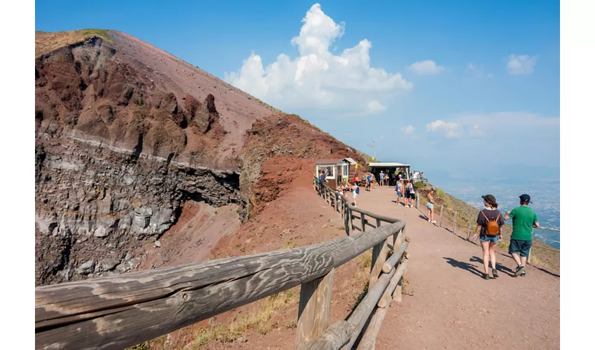 Pompei e il Vesuvio: Tour guidato da Roma + pranzo