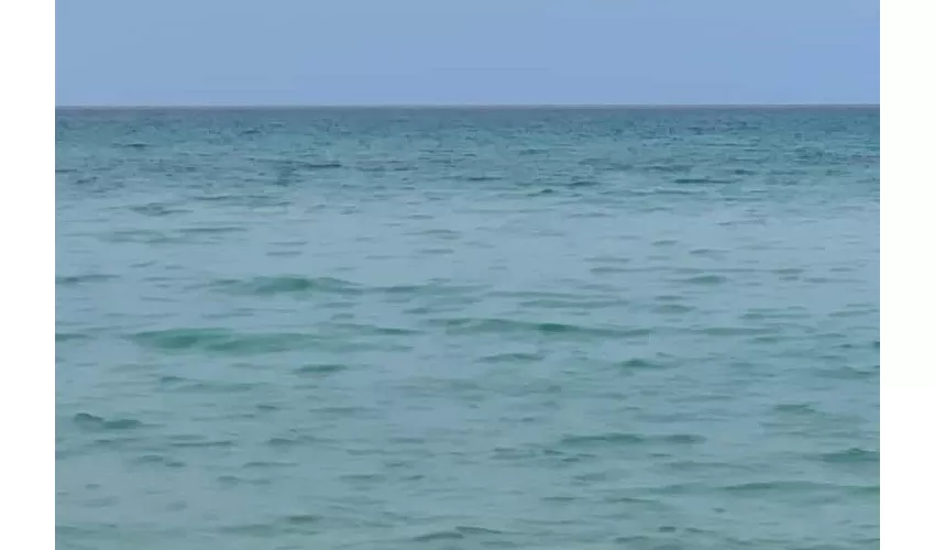 Palermo: Tour privato in barca a vela al tramonto + cena + vino