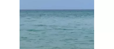 Palermo: Tour privato in barca a vela al tramonto + cena + vino