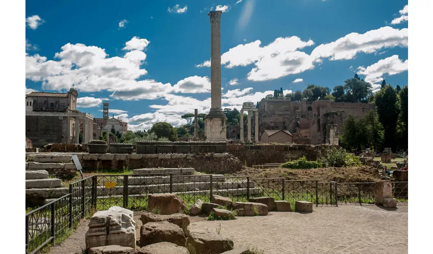 Colosseo, Foro Romano e Palatino + Tour guidato