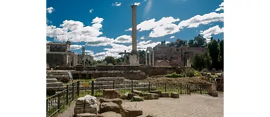 Colosseum, Roman Forum & Palatine Hill + Guided Tour