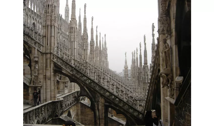 Duomo de Milán, Azotea y Museo: Entrada