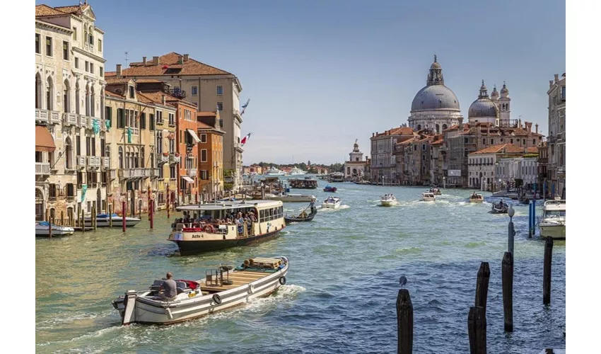 Ca' Rezzonico Museum: Guided Tour + Casanova Walking Tour