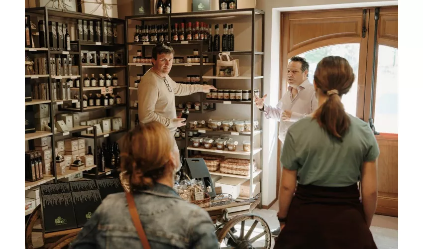 Módena: Visita guiada + Degustación de Vinagre Balsámico