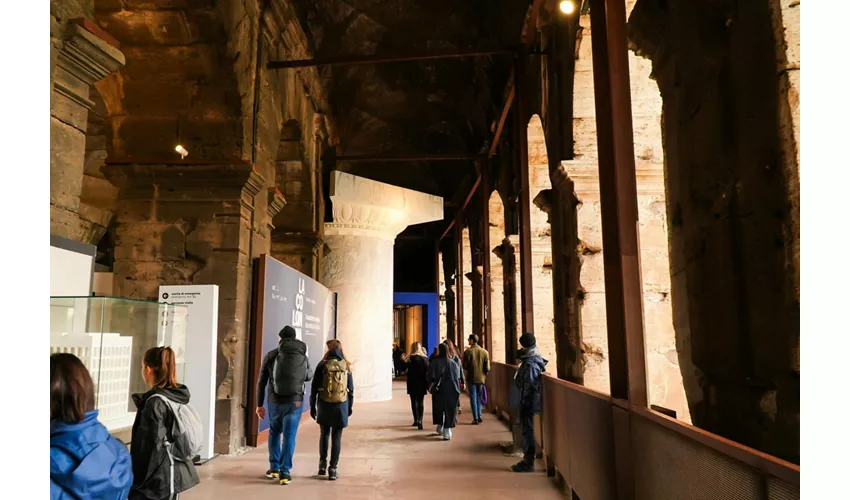 Colosseo, Foro Romano e Palatino + Tour guidato