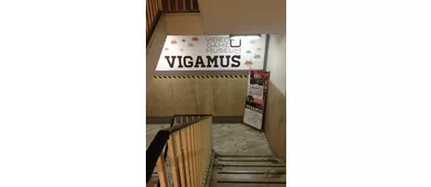 VIGAMUS – Video Game Museum of Rome: Fast Track Ticket