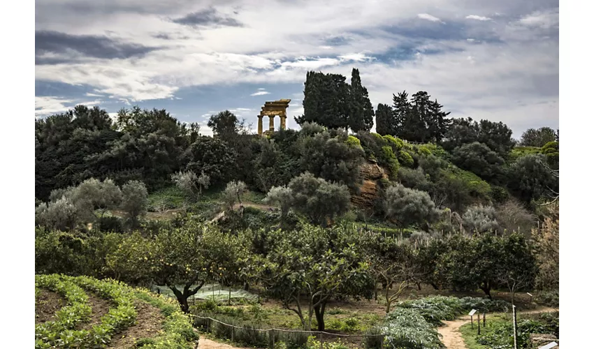 Jardín de la Kolymbehtra + Hipogeo: Visita guiada