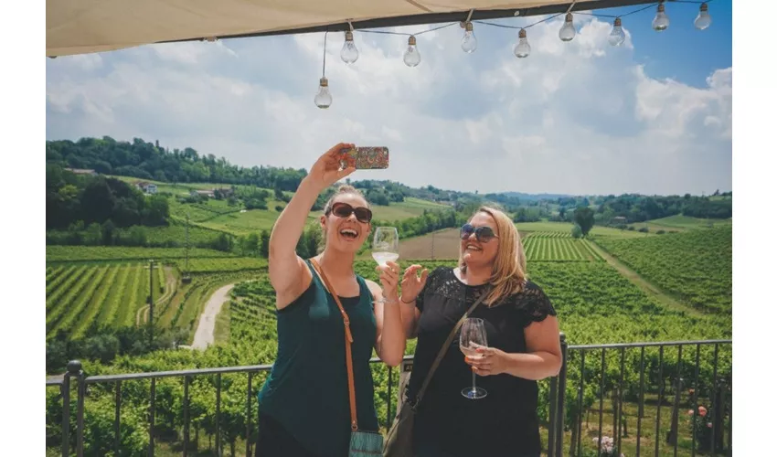 Verona: Prosecco Wine Tour from Venice