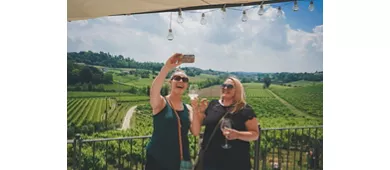 Verona: Prosecco Wine Tour from Venice