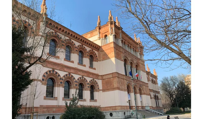 Museo Cívico de Historia Natural de Milán: Entrada + Audioguía