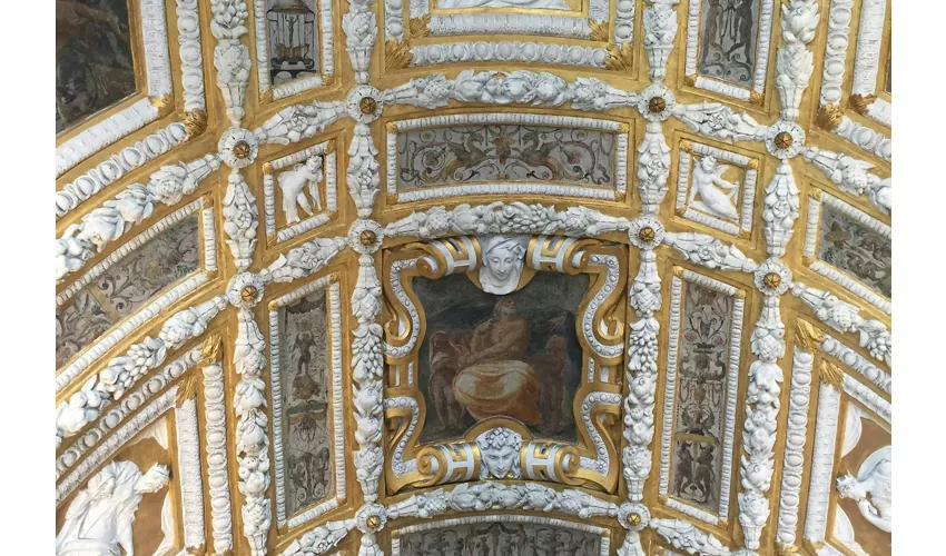 Palazzo Ducale e Chiese Chorus: Museo + Pass per i trasporti pubblici